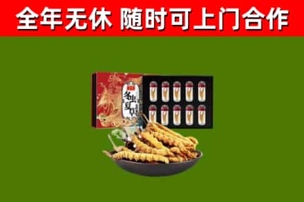 苏仙回收冬虫夏草价格